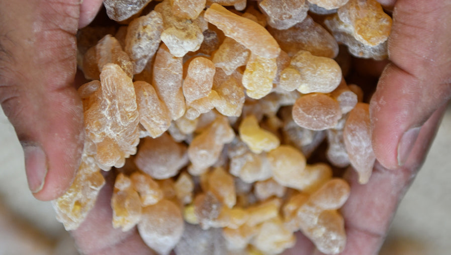 What is Frankincense? A Complete Guide to Its Benefits and Uses