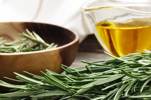 Rosemary Oil Benefits for Hair, Skin & Wellbeing