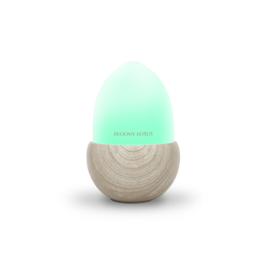 Acorn Ultrasonic Aroma Diffuser
