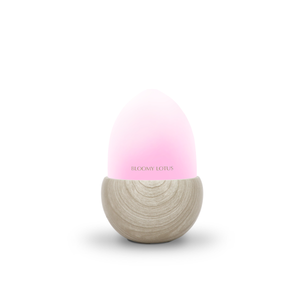Acorn Ultrasonic Aroma Diffuser