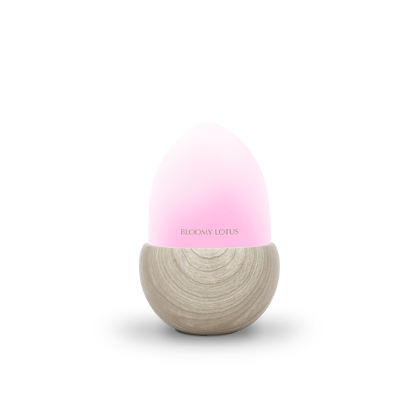 Acorn Ultrasonic Aroma Diffuser