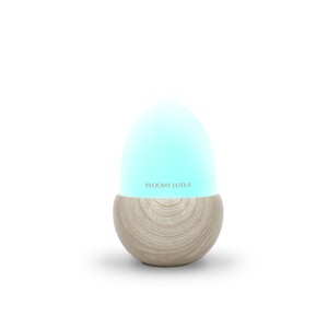 Acorn Ultrasonic Aroma Diffuser
