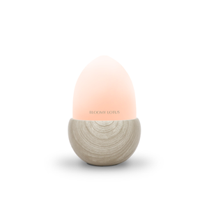 Acorn Ultrasonic Aroma Diffuser
