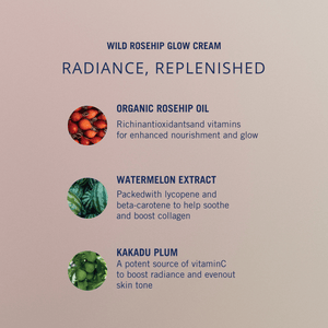 Wild Rosehip Glow Cream
