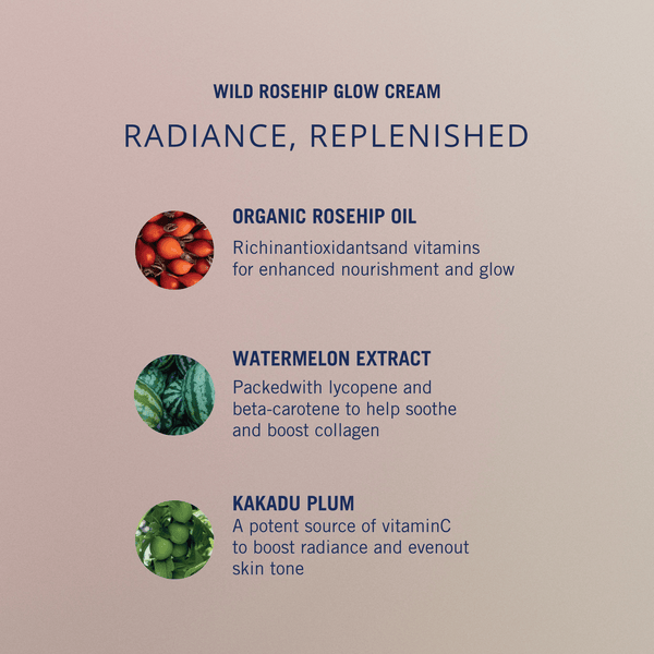 Wild Rosehip Glow Cream