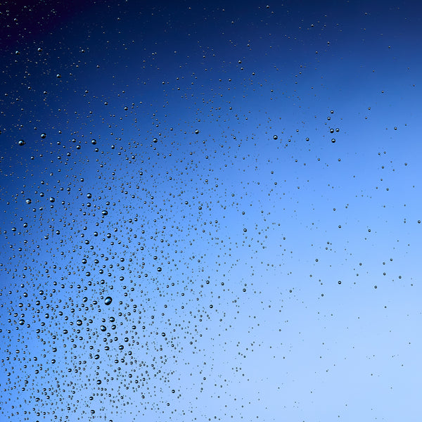 Wild Rosehip Dry Body Oil